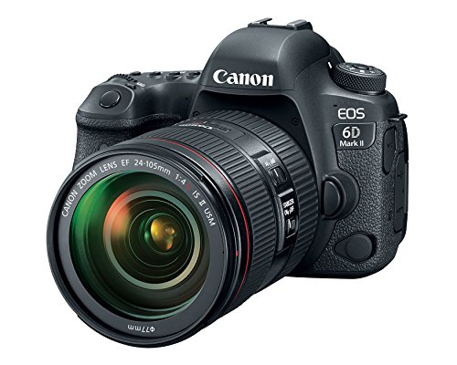 EOS 6D Mark II ボディ」の人気商品一覧 | 安い商品を通販サイト